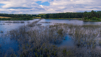 Lakes and fields in summer from above