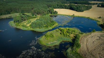 Fototapeta na wymiar Lakes and fields in summer from above