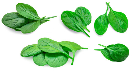 Fesh green baby spinach leaves isolated on white background. Espinach Set. Pattrn. Flat lay. Spinach Food concept.