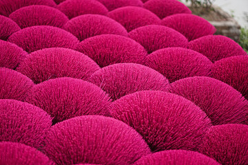 Obraz premium Drying Pink incense at Quang Phu Cau village in Hanoi, Vietnam.