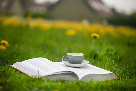 Cup of tea with open book