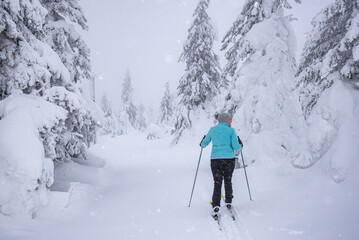 Woman skiing in frozen forest