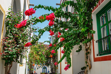 Fototapeta na wymiar Bougainvillea flowers growing in the streets of Puerto de Mogan. Gran Canaria, Spain