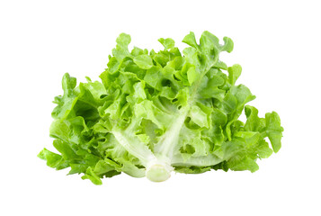 Lettuce vegatable isolated on transparent png