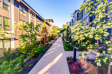Spring flowers, shrubs and blossoms at a BC suburban development.