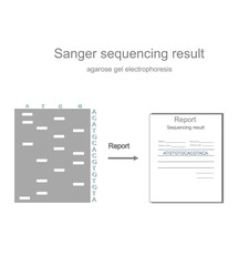 The concept picture of sequencing result report of DNA sequence after detection with Sanger sequencing technique and separated the DNA fragment with gel electrophoresis.