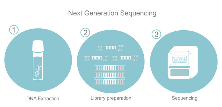 The important step of Next Generation Sequencing: DNA Extraction, Library preparation and sequencing for the analyzing of DNA sequence of target sample that represents in the blue and white icon.