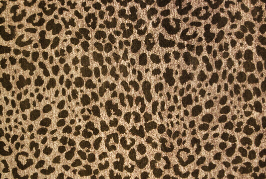 Leopard print pattern. Animal texture background sample. Jaguar skin background.
