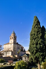 Fototapeta na wymiar catedral y cipreses en Granada
