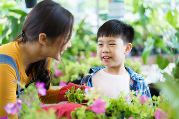 Happy Asian woman and little boy planting a house plants in green house together. 