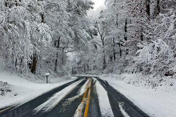 Road in Winter Snow Scene