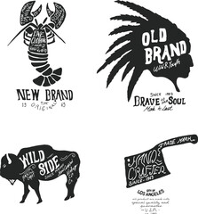 Indian feather illustration for print