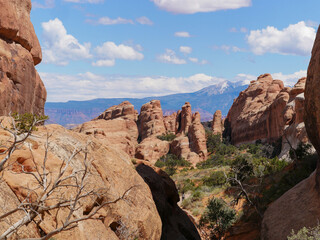 Red rocks at arches national park