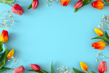 Hello spring concept. Flat lay photo of tulips and gypsophila flowers on pastel blue background...