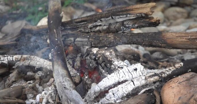 A Bonfire Burning in the Forest in Evening. Flaming Campfire. Fireplace in Nature - Static Shot, Slow Motion