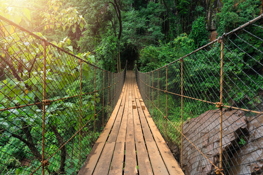 Ancient bridge in the middle of nature