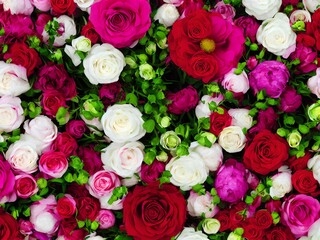 Obraz na płótnie Canvas Flowers Of Valentine's Day