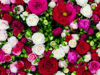  Flowers Of Valentine's Day