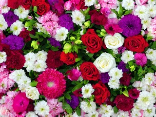  Flowers Of Valentine's Day