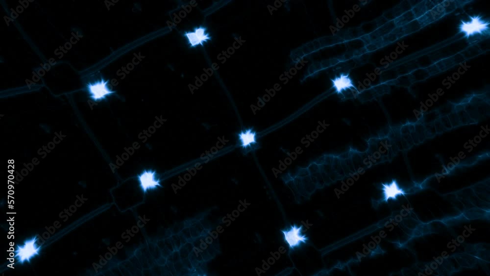 Poster Black background with illuminated lights. Motion. Small burning stars in animation that slowly rotate.