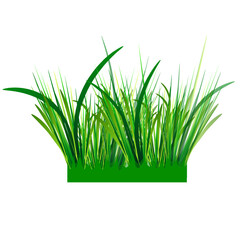 Design element. A tuft of grass drawn with a gradient.