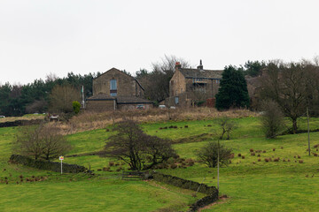 Fototapeta na wymiar landscape with house