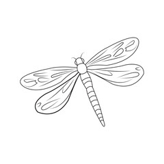 Fototapeta na wymiar dragonfly icon