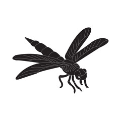 dragonfly icon