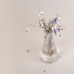 Withered flowers in a glass vase on table
