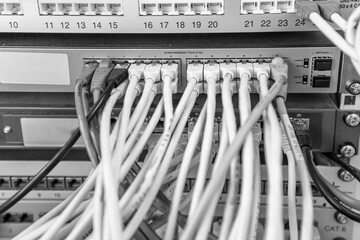 lan cable in a switch