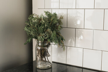 Green branch of juniper in glass vase on kitchen. Still life copy space and empty space for advertising