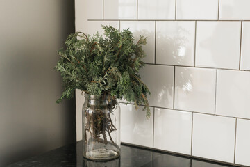 Green branch of juniper in glass vase on kitchen. Still life copy space and empty space for...
