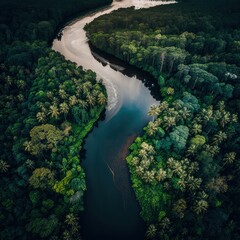 Encontro das águas do Rio Negro e Rio Solimões, rio amazonas, amazon river, GENERATIVE AI