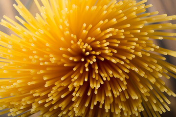 Pasta is long on a dark background.Italian cuisine.