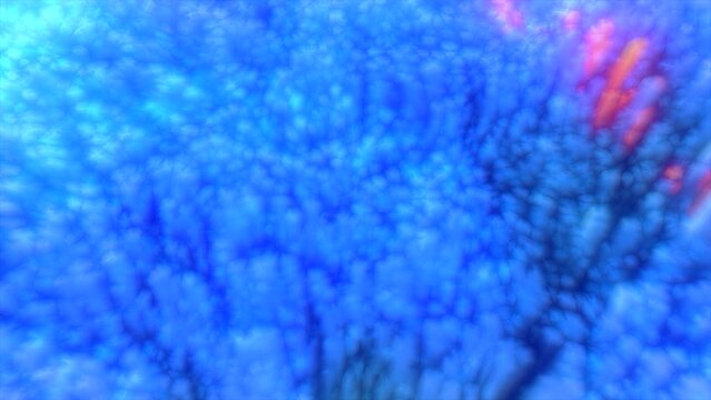 Bright fluffy sea anemon slow movement. Motion. Coral reef, underwater view of marine life.