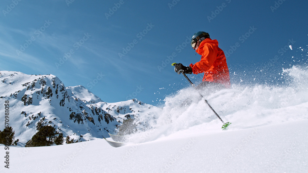 Wall mural Free ride skier running down the hill.