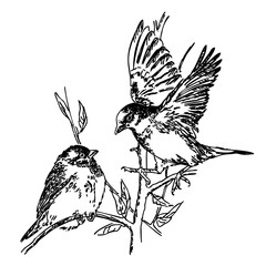 Two sparrows are sitting on a branch. Vector illustration of the National Bird Day on a white background. Suitable for greeting card poster and banner. Drawing in linear style