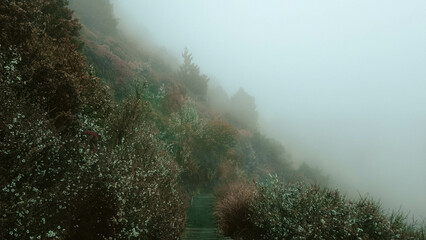 fog over the mountains