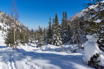 Winter view of Rila Mountain near Malyovitsa peak, Bulgaria