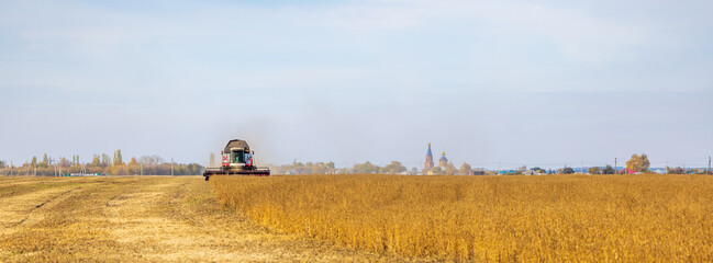 Combine Harvester Working in a Field on a Farm. Seasonal Harvesting the Wheat. Agriculture. 
