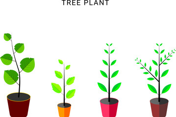 plant in a pot, Tree plant illustration set 