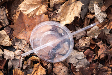 A generic clear plastic straw and soft drink lid trash or litter lays in a pile of leaves.