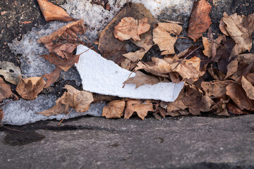 A close up of a torn piece of extruded polystyrene litter or garbage from a white cup laying in a pile of leaves and melted snow.
