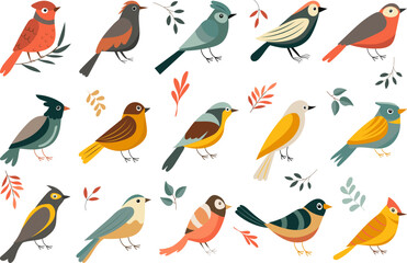 birds of different breeds set on white background isolated, vector