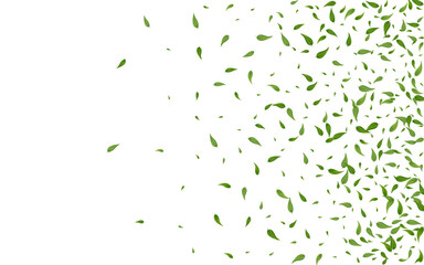Forest Leaves Tree Vector White Background