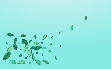 Mint Leaves Swirl Vector Blue Background Banner.