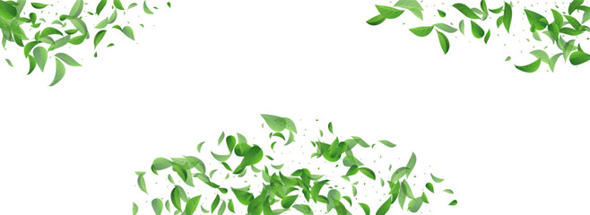 Mint Leaves Realistic Vector Panoramic White