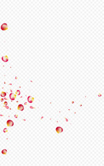 Pink Sakura Summer Vector Transparent Background.