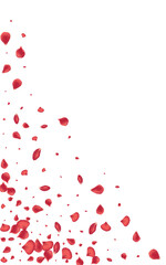 Beautiful Peach Japan Vector White Background.