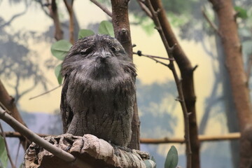 bird on a branch